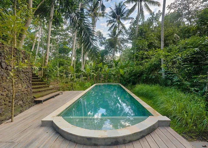 Resort Shanti Toya Ashram 2*